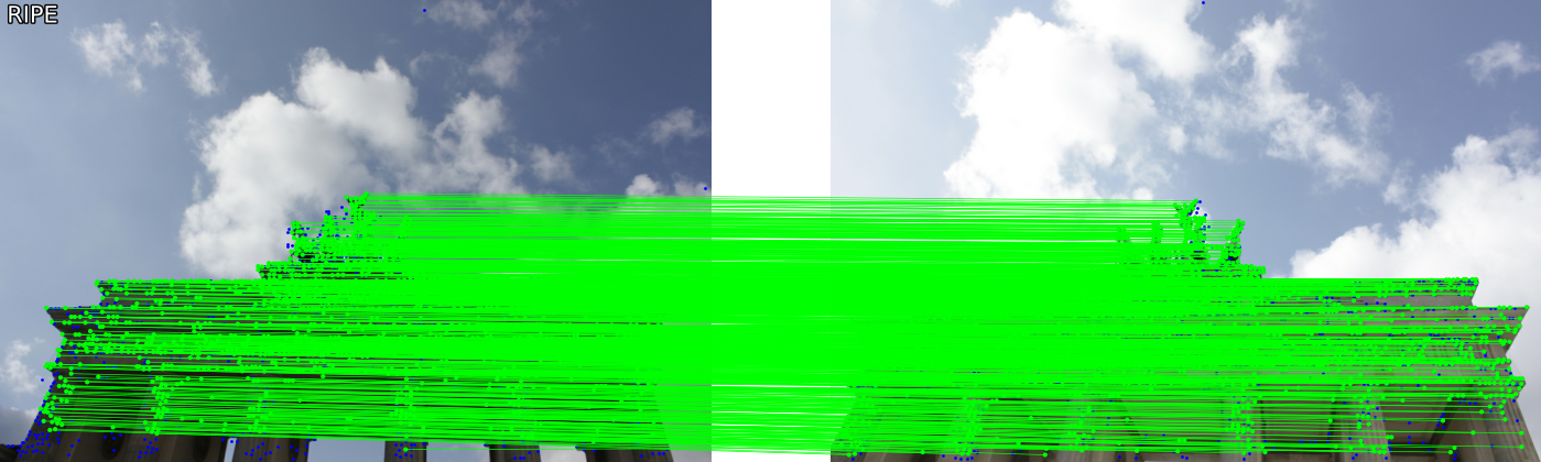 MY ALT TEXT