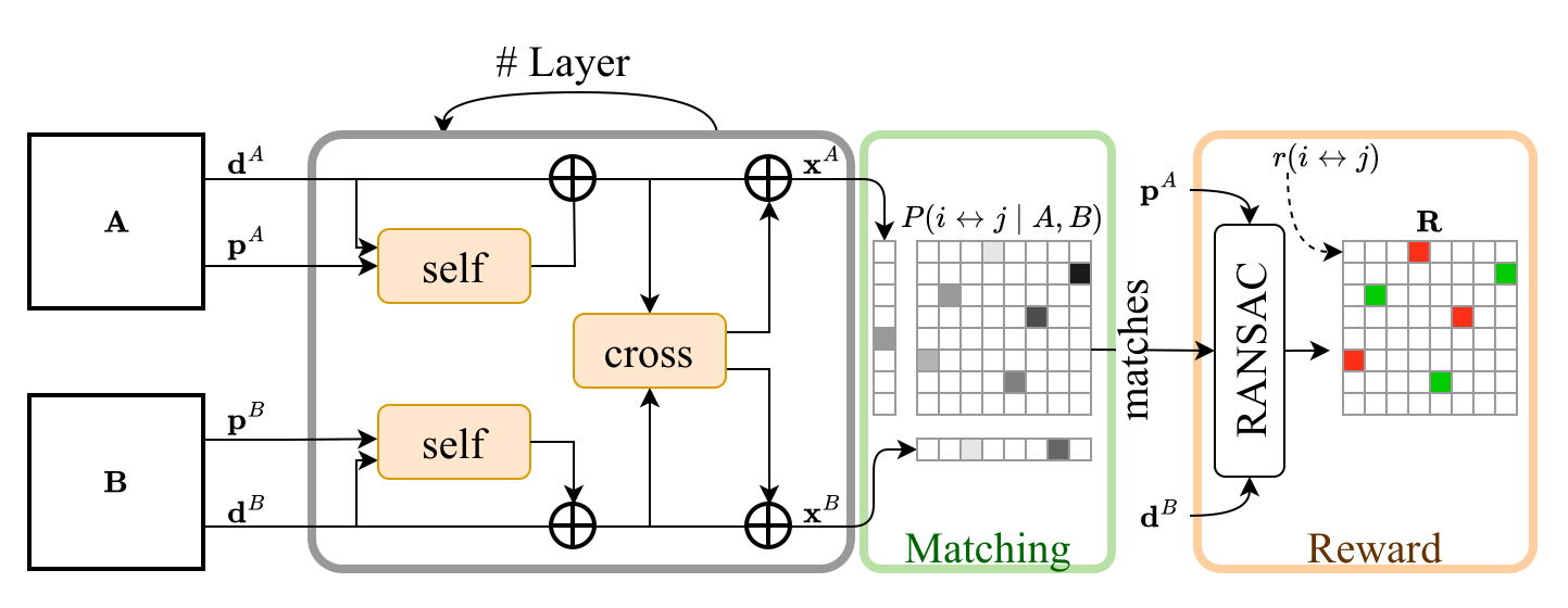 Schematic of weakly-supervised LightGlue training: keypoints and descriptors from two images pass through self- and cross-attention layers to produce match probabilities; RANSAC labels matches as inliers or outliers, providing the reward that trains the matcher without pose or depth.