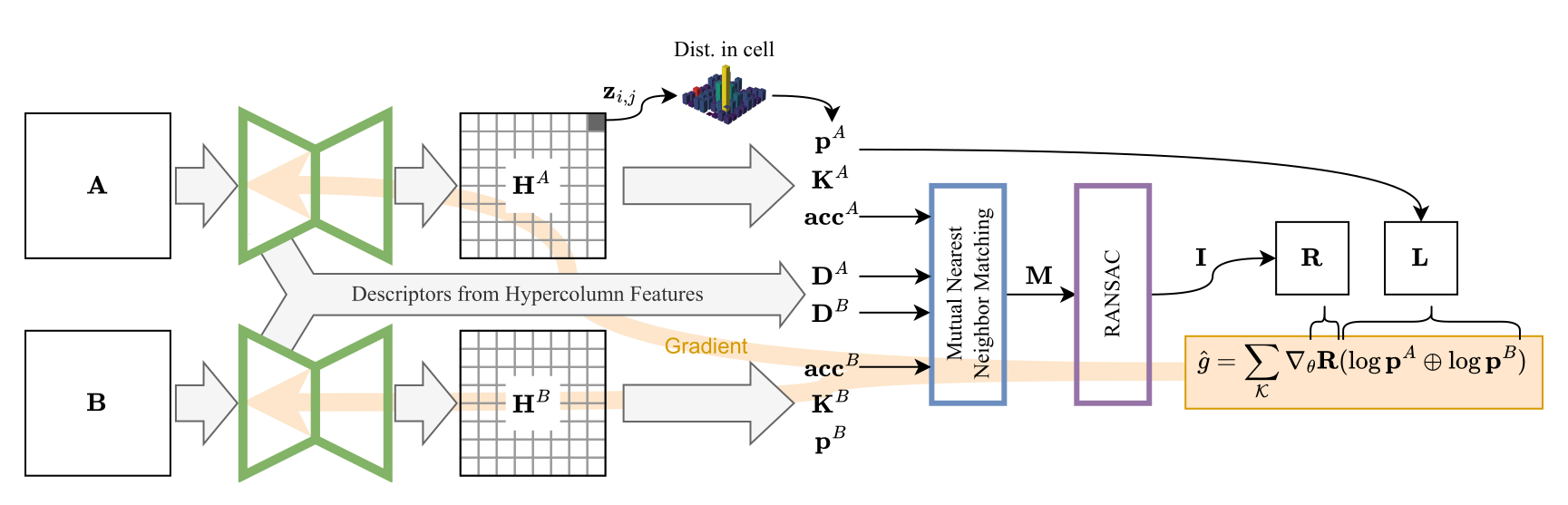Schematic of the RIPE++ weakly-supervised keypoint extraction framework: two images pass through a network producing heatmaps and hypercolumn descriptors; keypoints are matched, filtered by RANSAC, and used to build the reward matrix that weights log-probabilities via REINFORCE.